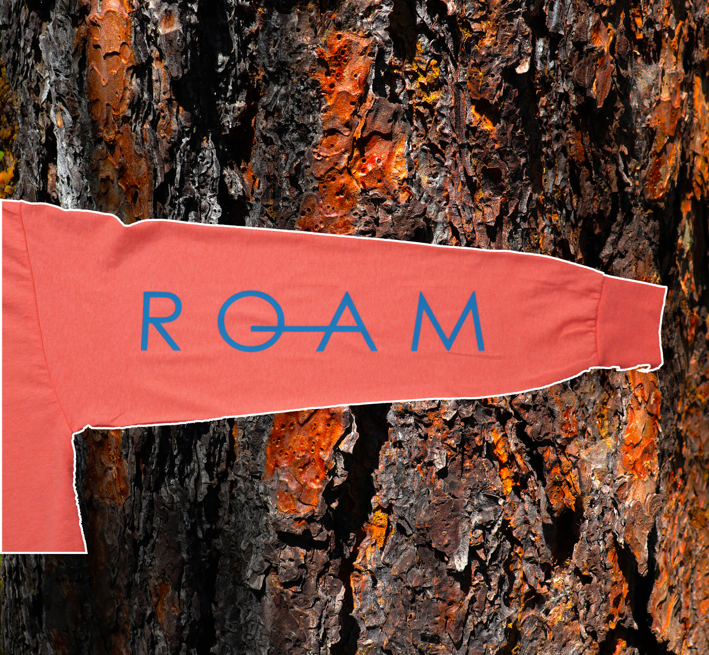 R O A M x Okanogan Wenatchee National Forest